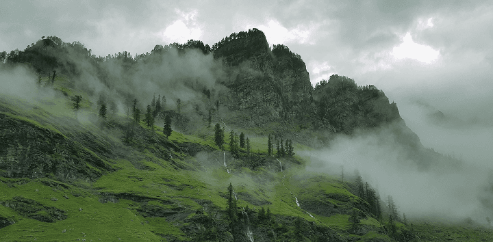 India Escapes - Your Privacy is Our Priority